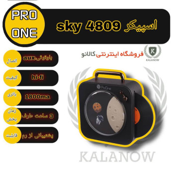 اسپیکر قابل حمل پرووان مدل PSB4809