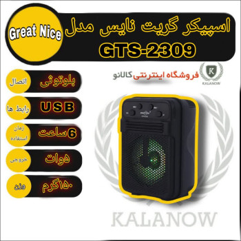 اسپیکر گریت نایس مدل GTS-2309