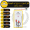 کابل تبدیل  USB c به لایتنینگ مستر مدل ETM001 طول ۱متر